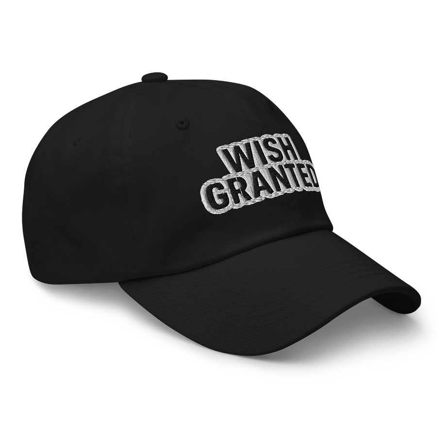 WISH GRANTED Hat product image (3)