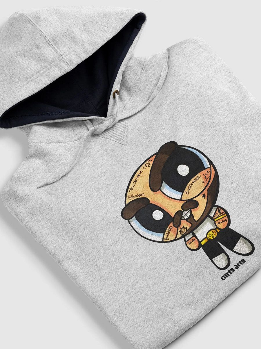 PM Day 10 Champion Hoodie product image (12)