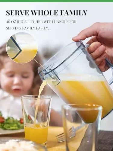 3” Feed Chute Juicer Machines for Whole Fruits and Vegetables product image (2)