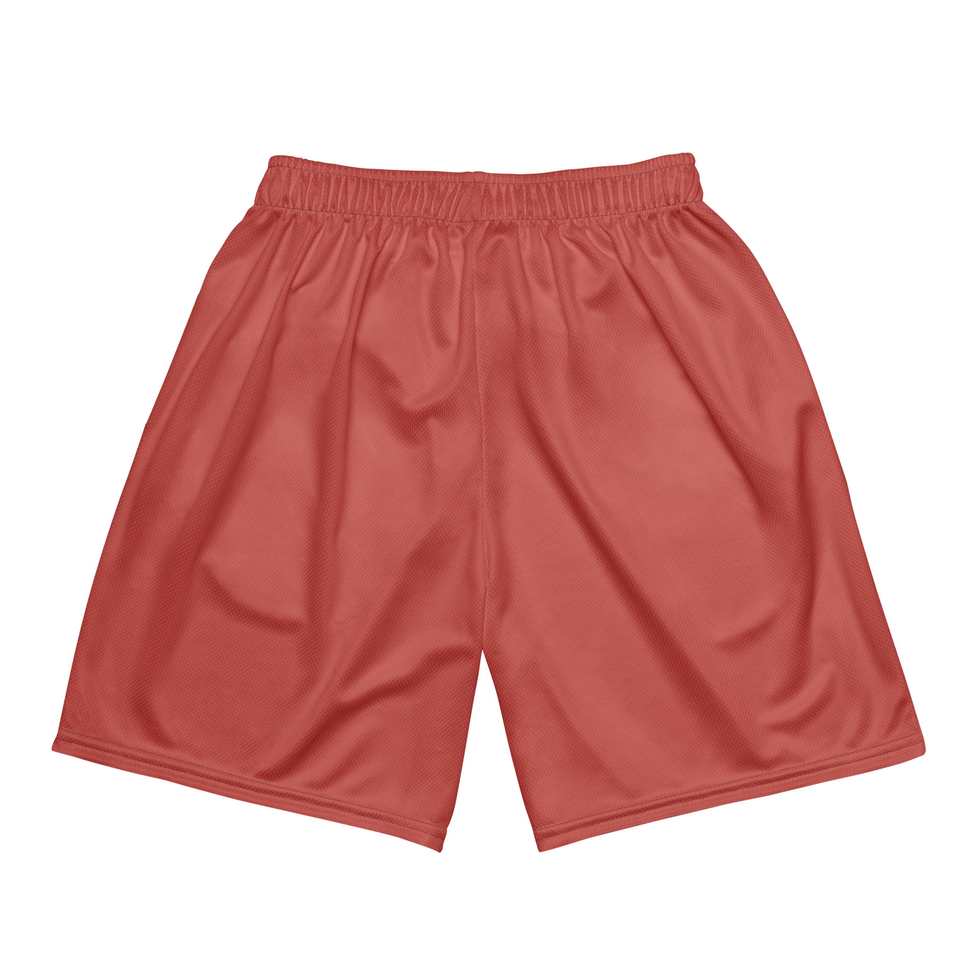 CS Shorts product image (5)