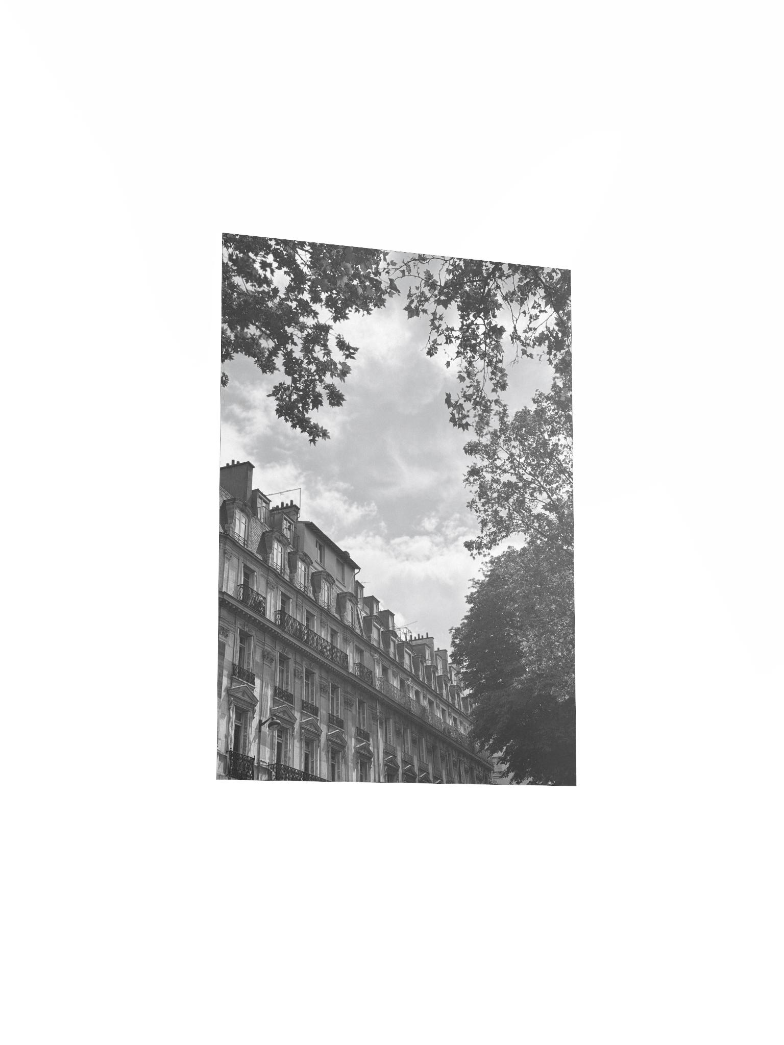 Toits ciel parisien dé-saturé (impression) product image (3)