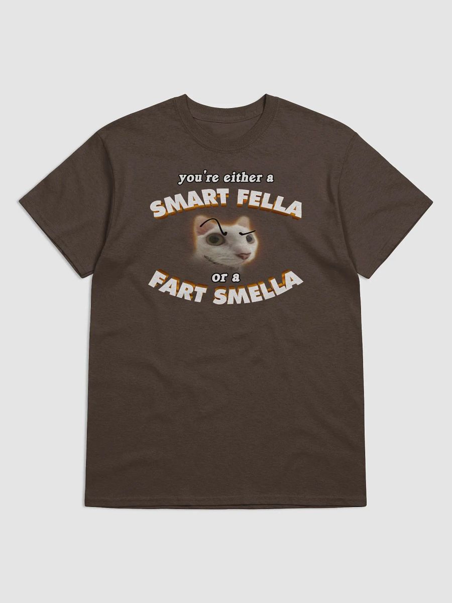You're either a smart fella or a fart smella T-shirt product image (1)