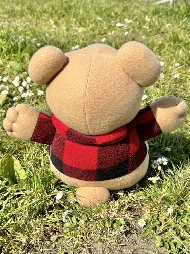 The Official CardlinAudio Voice Plushie: Cardybear! product image (3)