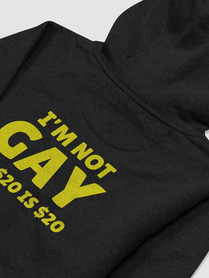 Not Gay But $20 is $20 Back Print Hoodie product image (2)