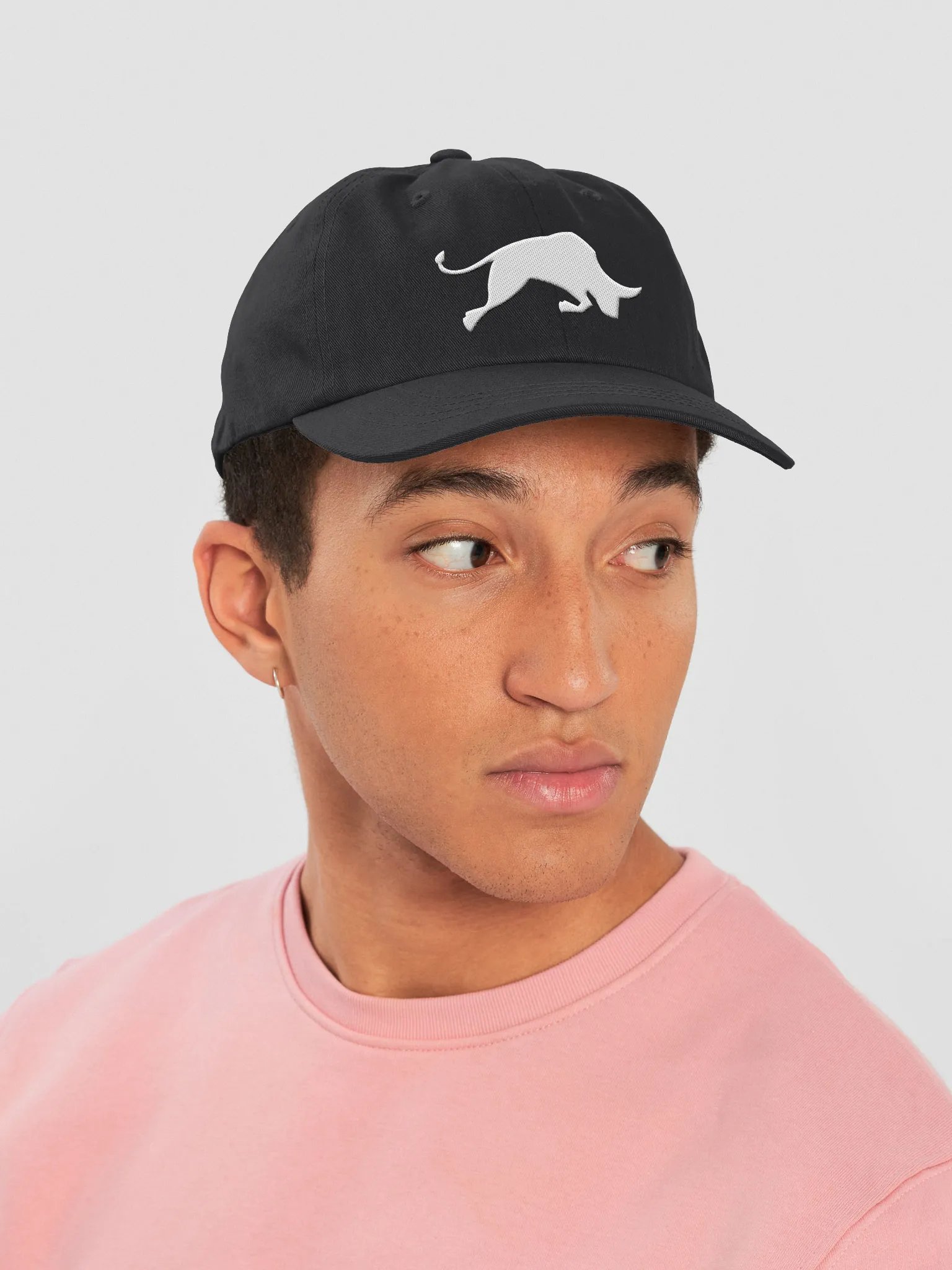Bulls Dad Hat product image (6)