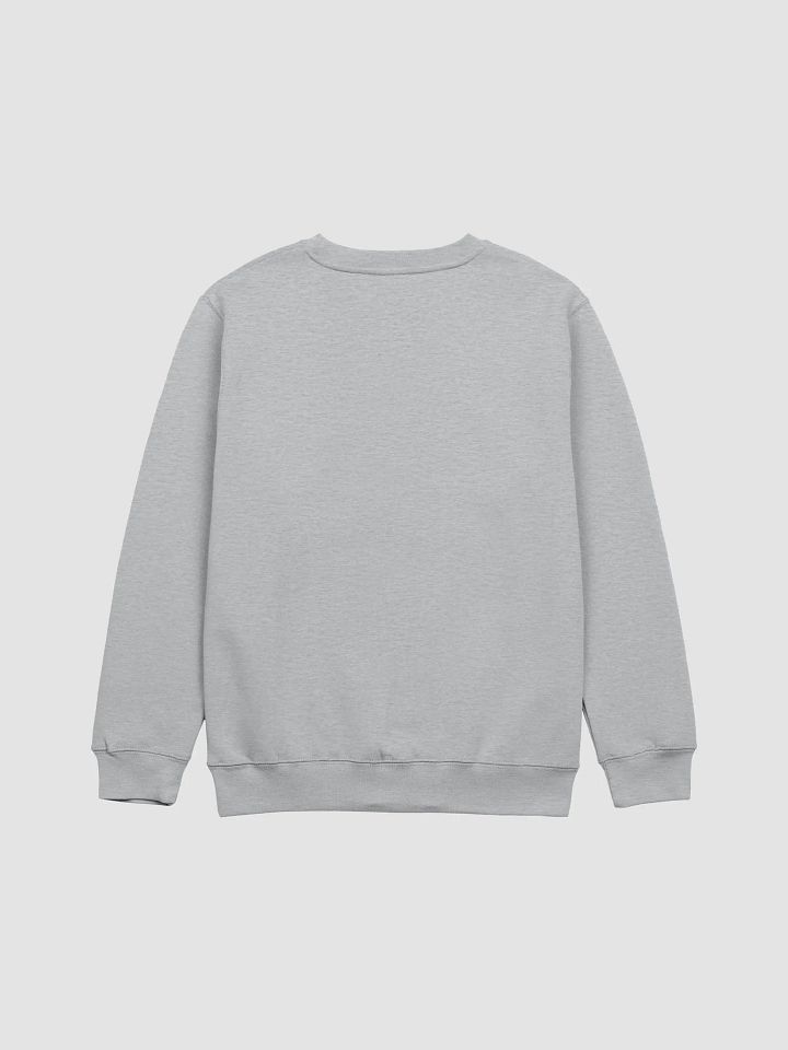 Bang Chan Anti-Delulu pills Sweatshirt product image (6)