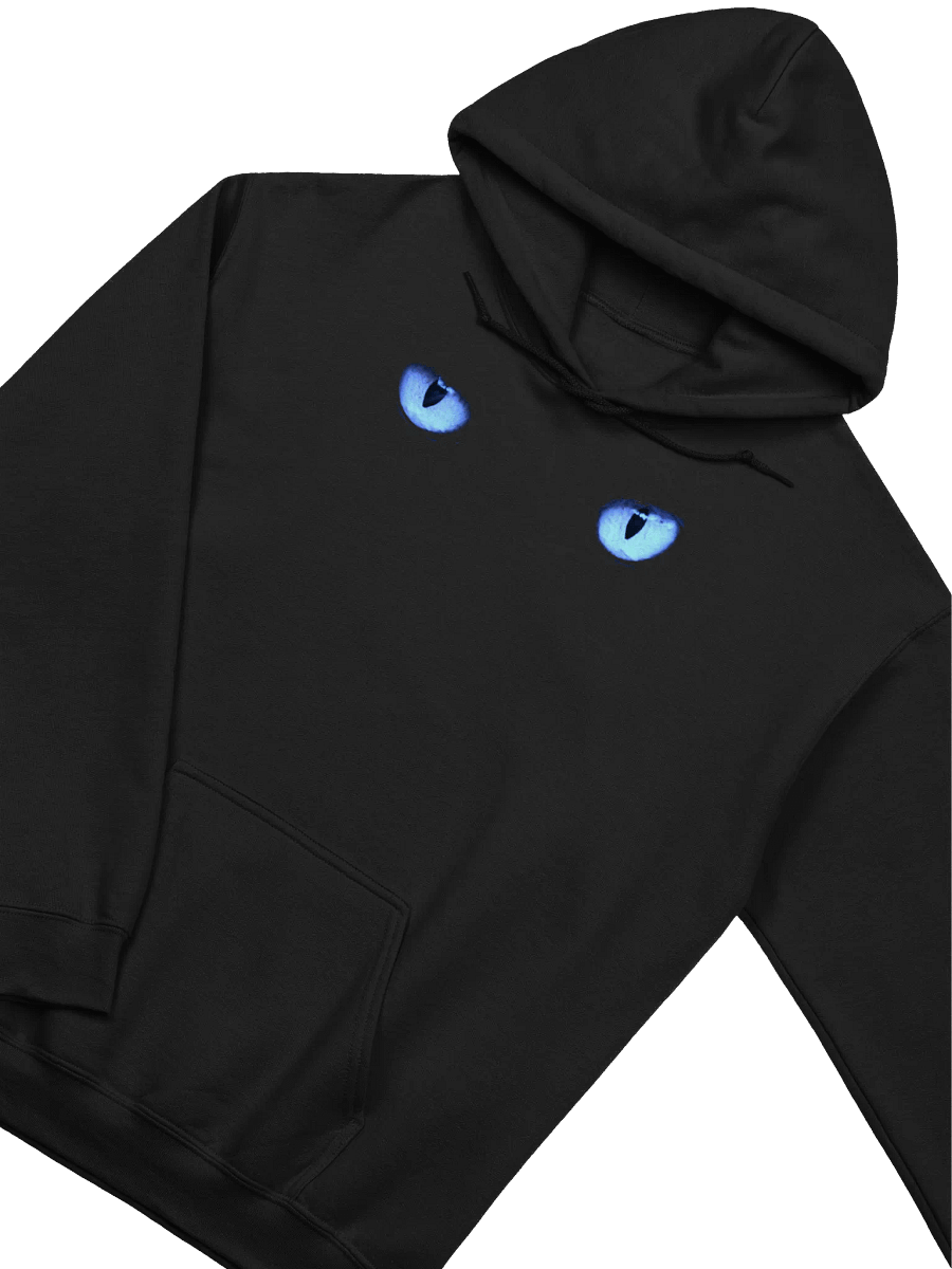 CAT EYES BLUE HOODIE product image (3)