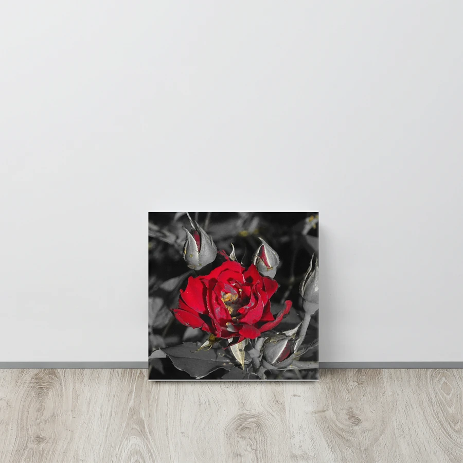 Rose on Canvas product image (15)
