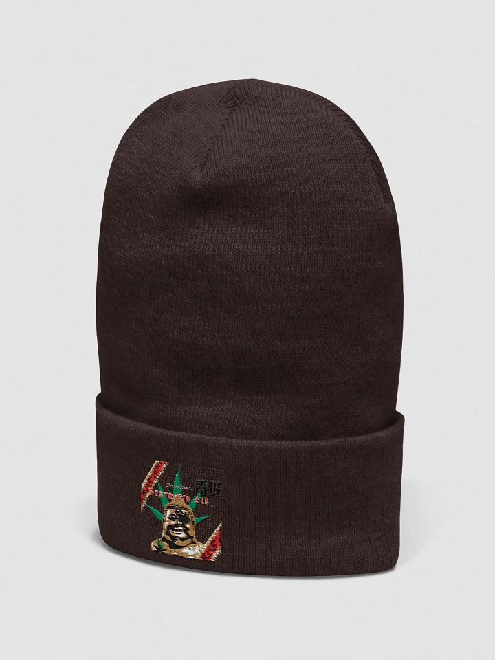 Enlightenment Cuffed Beanie product image (9)