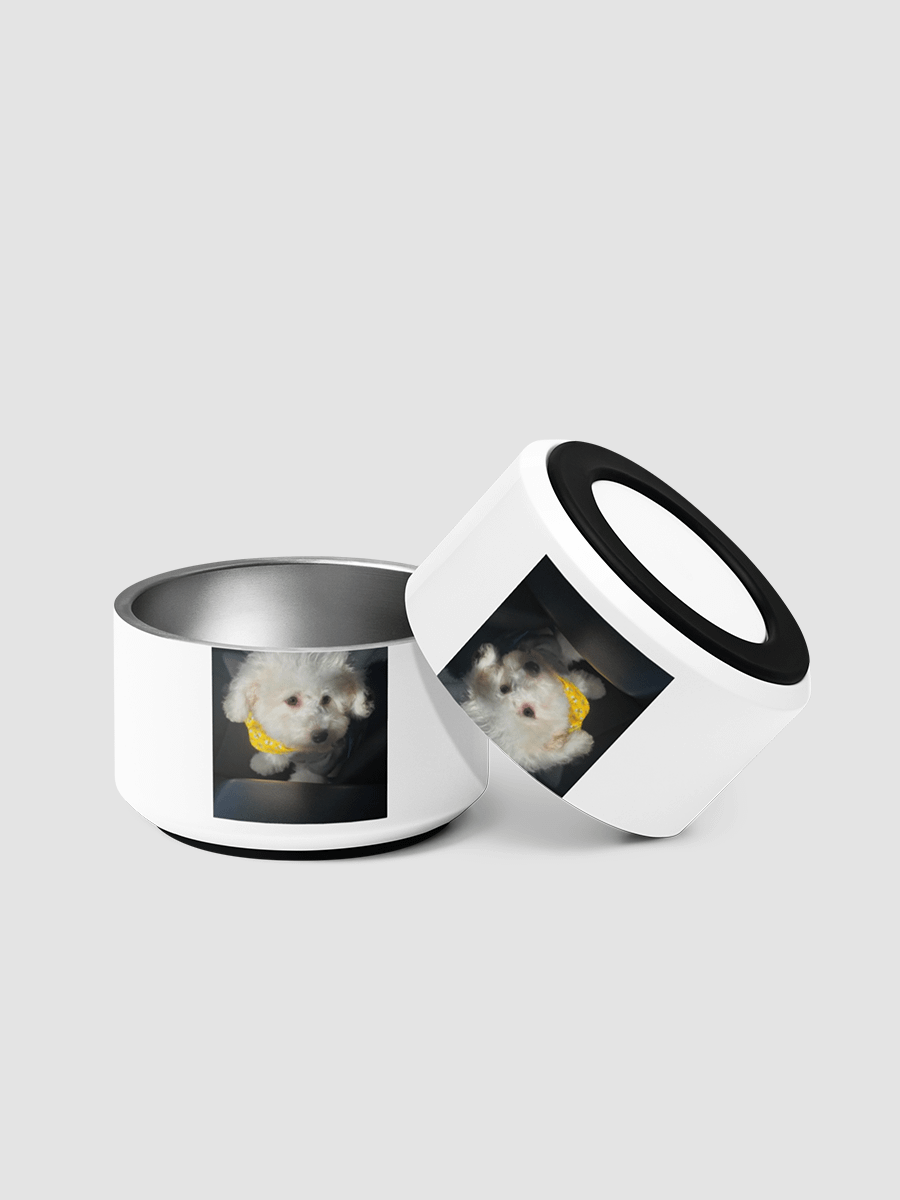 [junito_gaming] Pet Bowl product image (3)