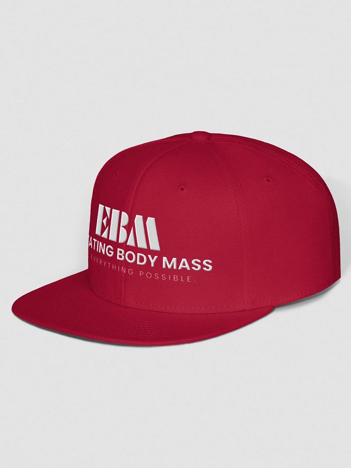 EBM Snap Back Cap (White Logo) product image (2)