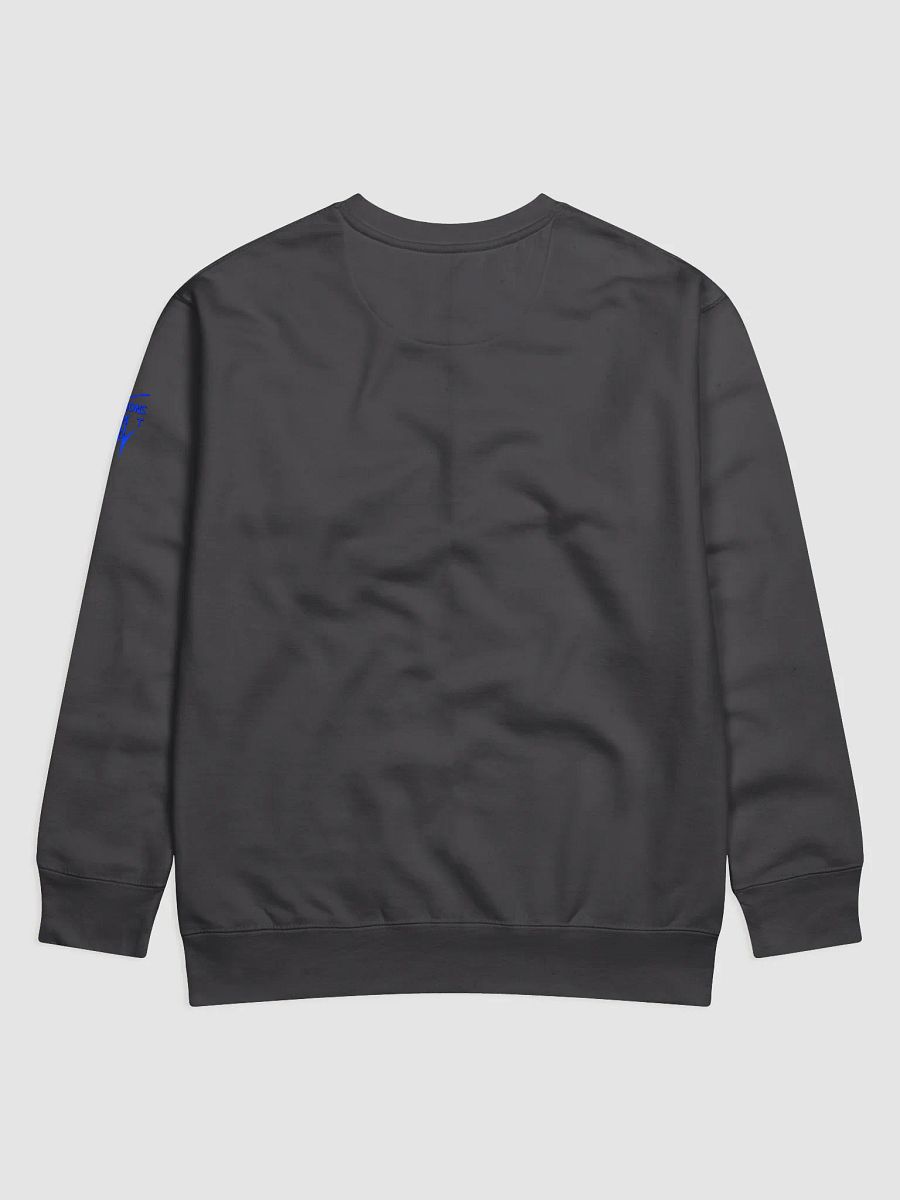 Bat Guy Grappling in the Rain Premium Sweatshirt product image (16)
