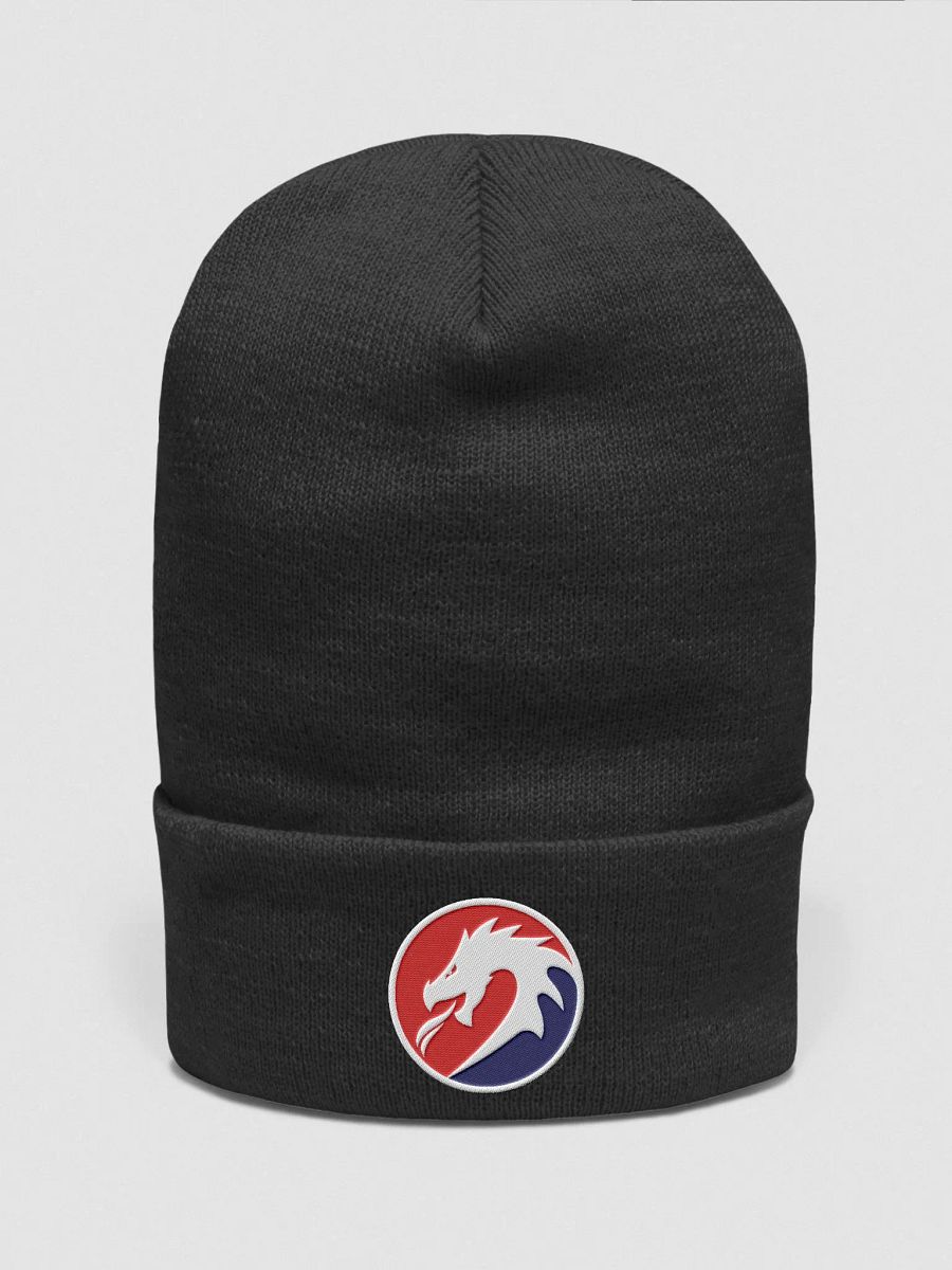 Tsumego Dragon Beanie product image (1)
