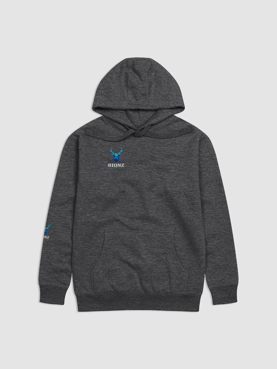 Sionz Charcoal Hoodie product image (1)