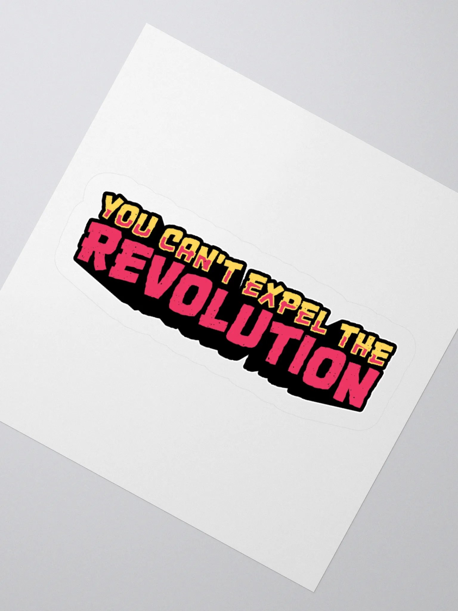 You Can't Expel The Revolution Sticker product image (5)