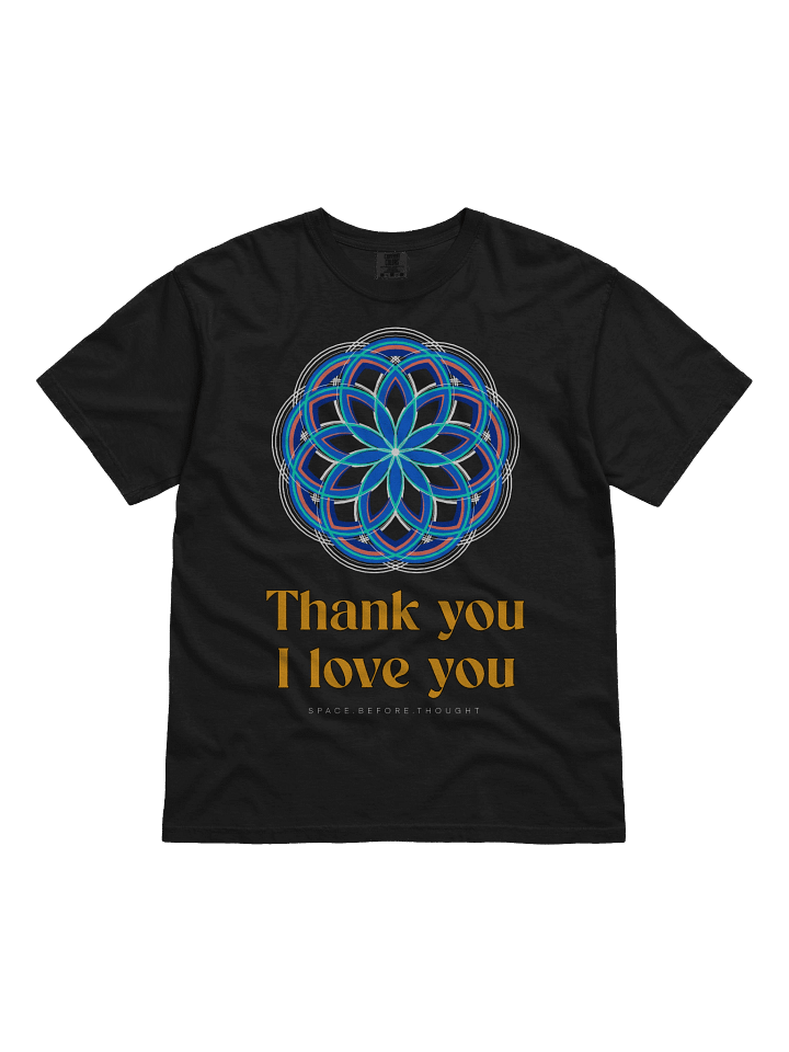 Ho'oponopono Cleaning Tee (6.1oz) product image (1)