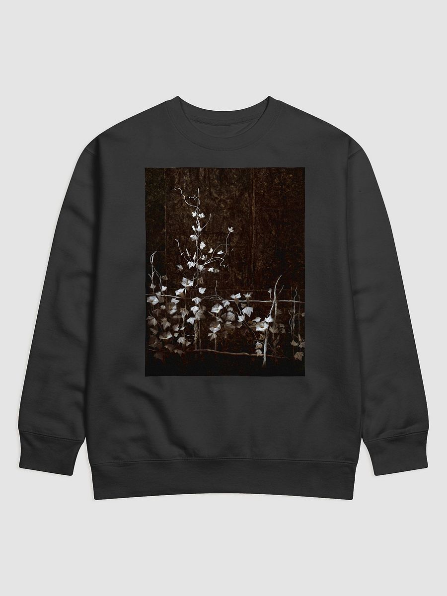 KorinGami - Morning Glories product image (1)