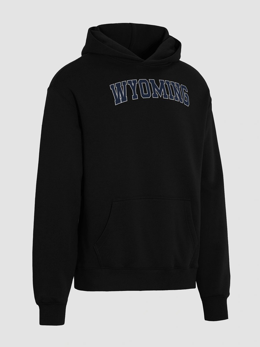 Wyoming Vintage Varsity Unisex Premium Oversized Hoodie product image (4)