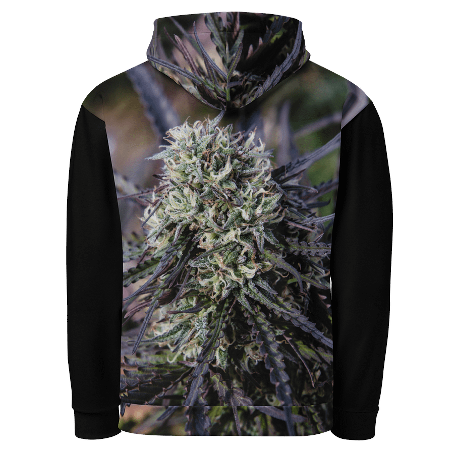 Royal Purple Cultvated Hoodie product image (3)