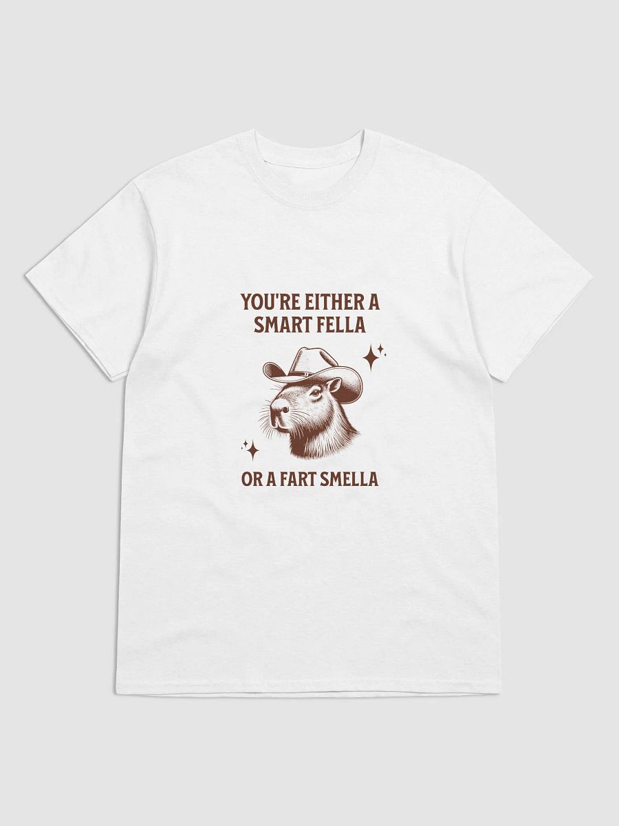 Funny Capybara Cowboy Retro T-Shirt – "You're either a smart fella or a fart smella" Meme Tee product image (3)