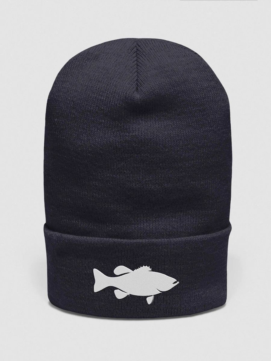 FISH Beanie product image (2)