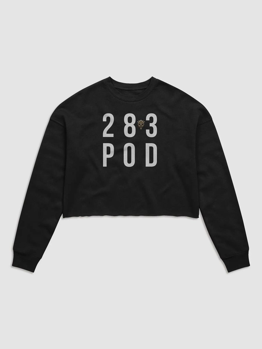 The 28 to 3 Podcast 