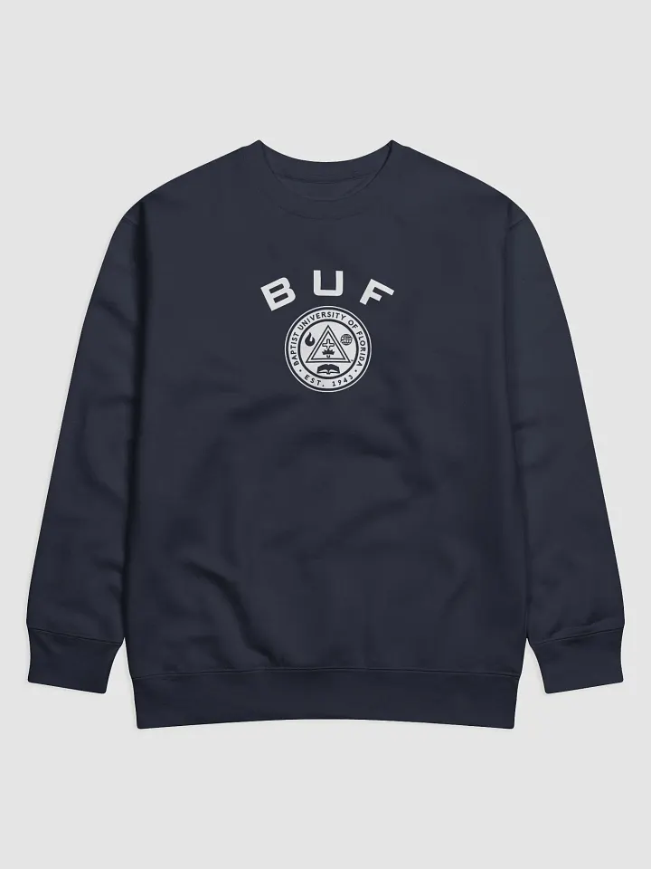 BUF ACADEMIC SWEATSHIRT product image (9)
