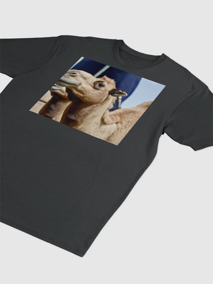 T-Shirt Camel product image (3)