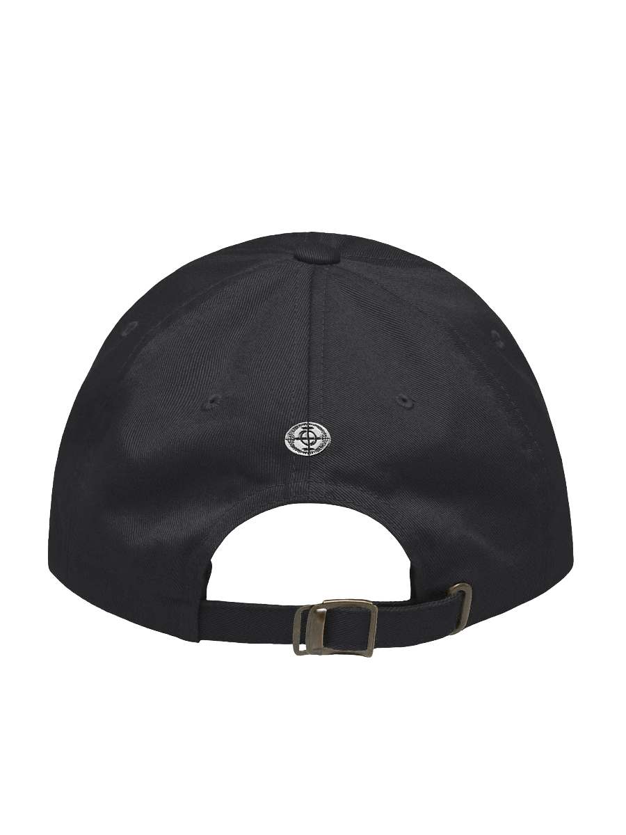 Stoicus Hodiernus Dad Hat product image (2)