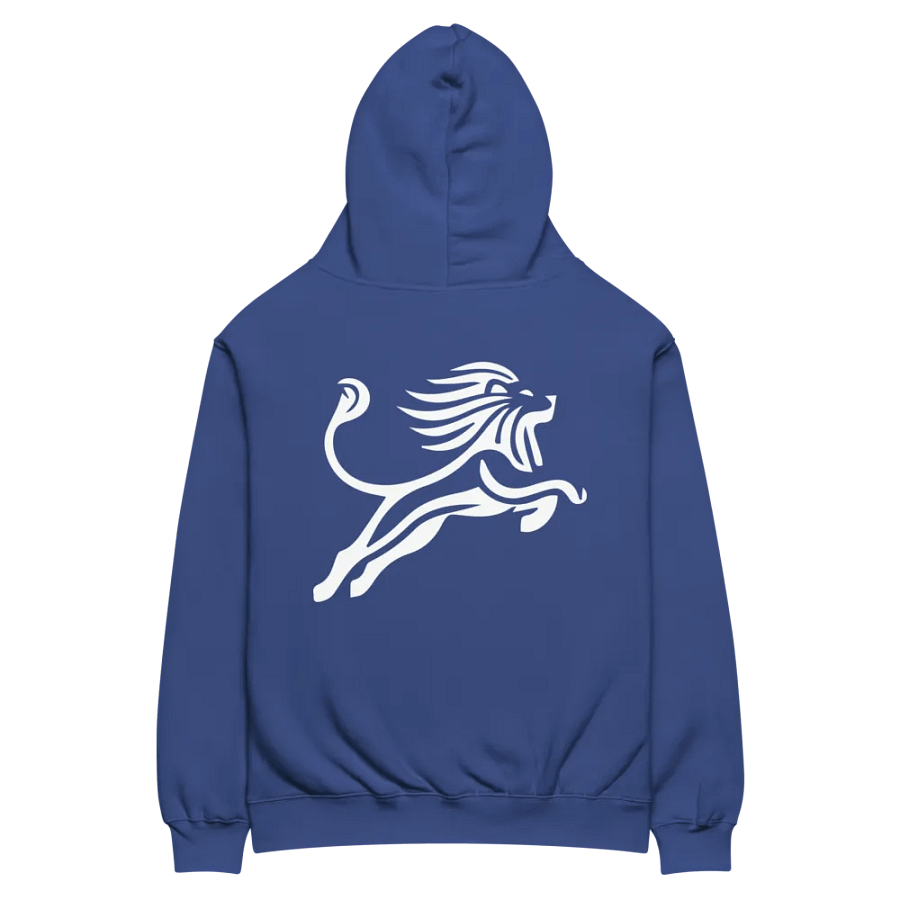 Be Bright Oversized Hoodie product image (3)