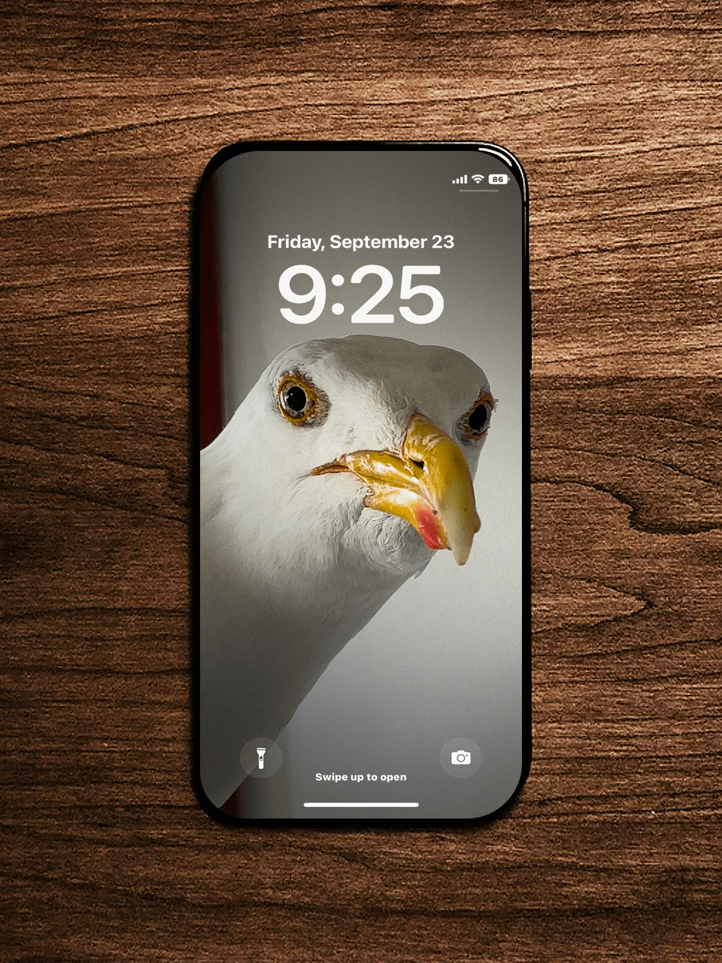 Steven Wallpaper Pack 2 product image (5)