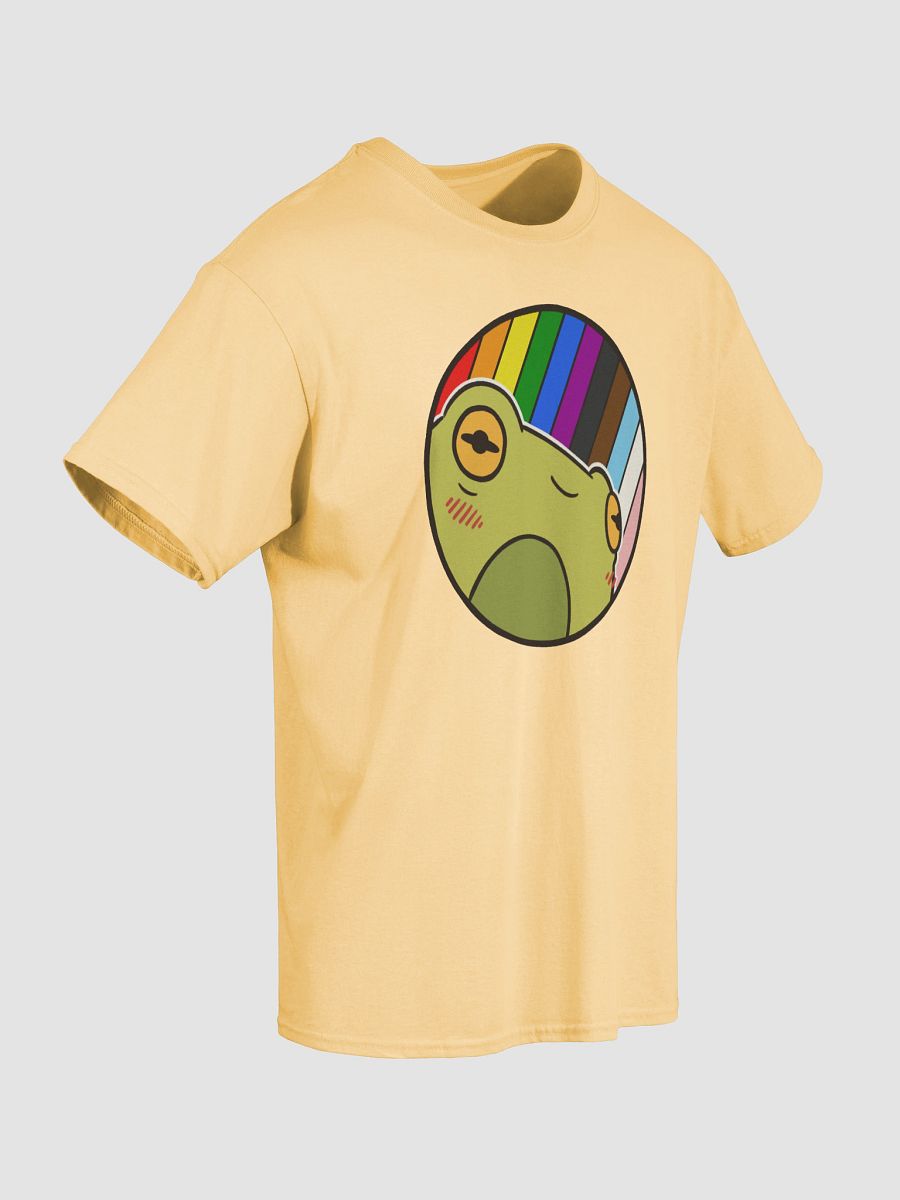 t-shirt : froge rainbow-progressive product image (3)