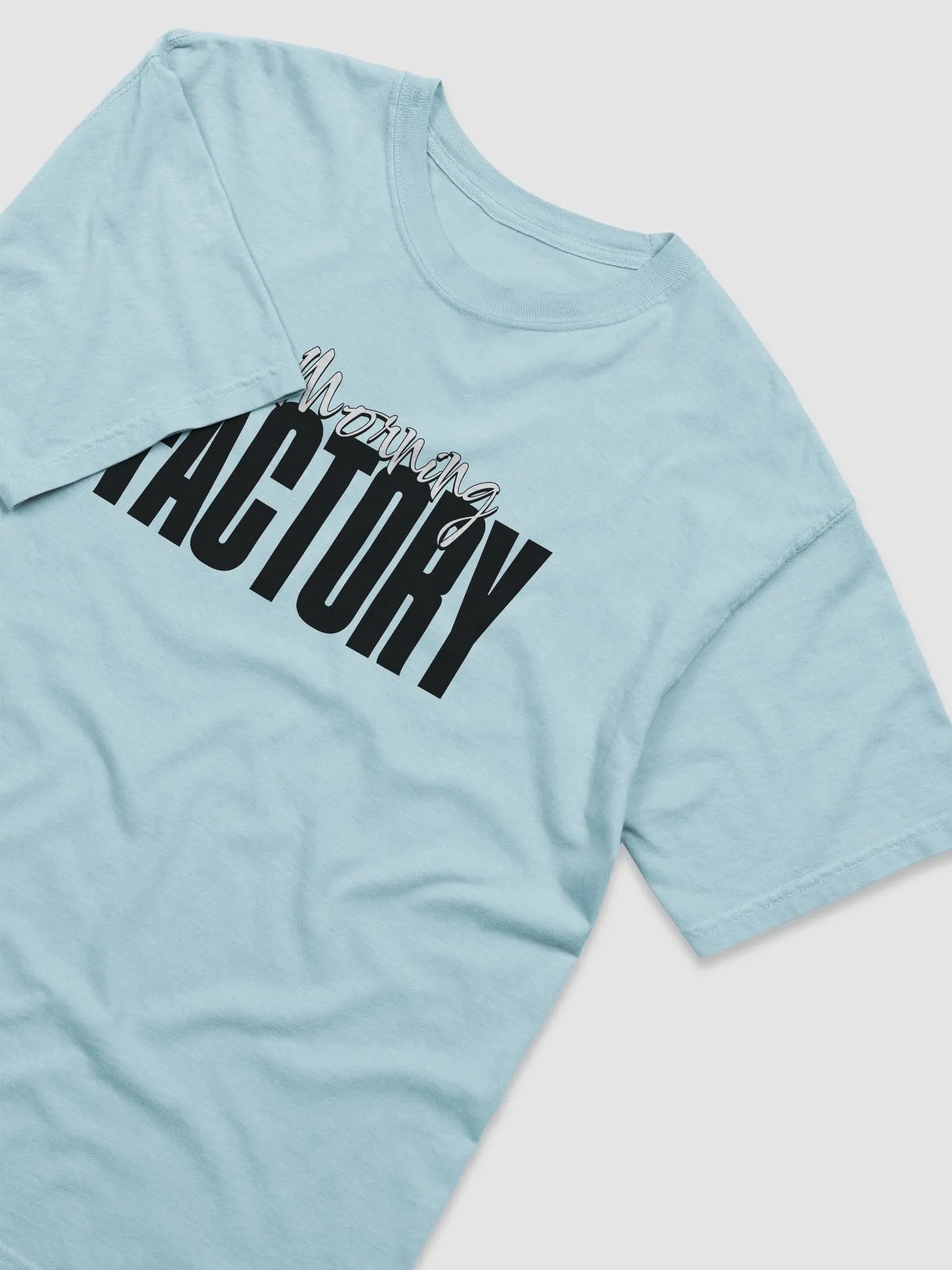 Big Fact - Unisex Tee product image (16)