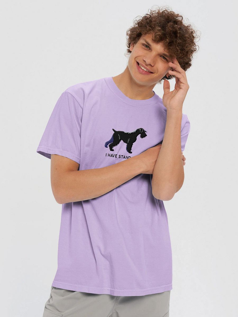 I Have Standards T-Shirt(Embroidered) of a Standard Schnauzer(Black) product image (37)