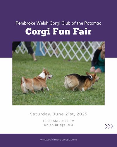 The Pembroke Welsh Corgi Club’s annual Corgi Fun Fair is coming up this Saturday, June 21st! Get more info on their website P...