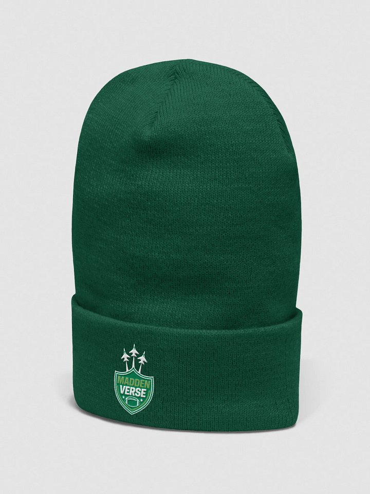 TAKE FLIGHT MADDEN VERSE HAT product image (2)