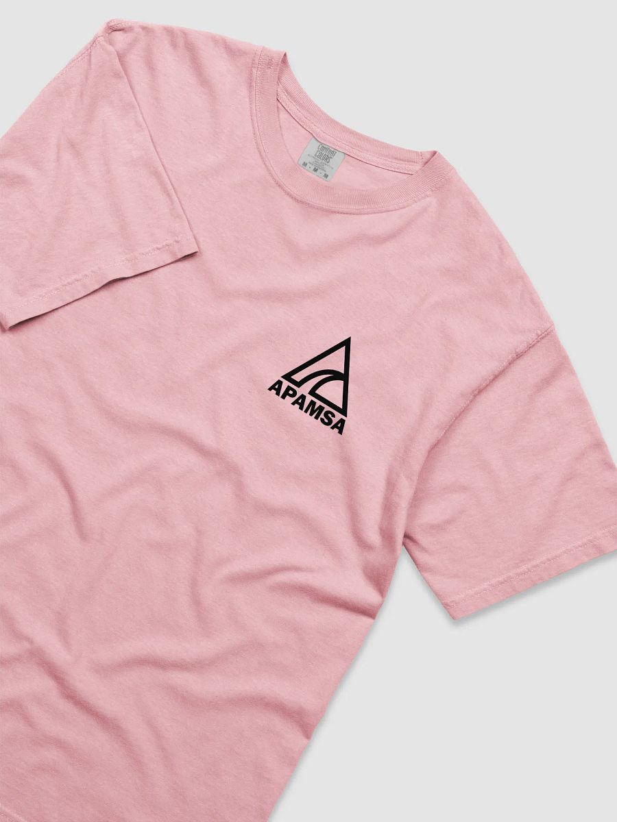 AANHPI Food T-Shirt (Limited Edition) product image (3)