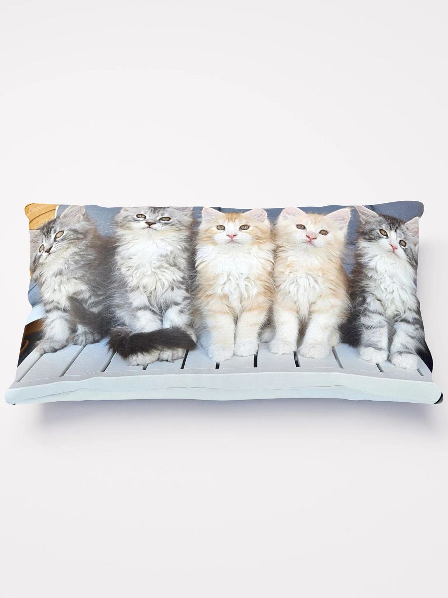Freya's Kittens Pillow product image (1)