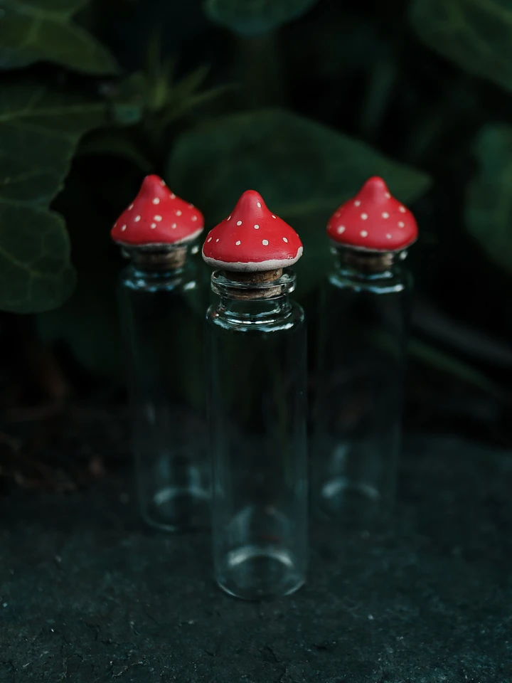 Small Mushroom Bottle product image (1)