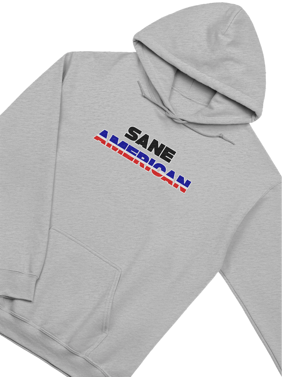 Sane American - Hoodie product image (3)
