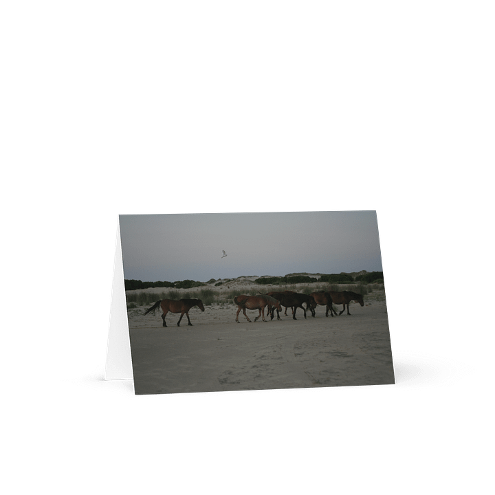 Seaside Serenity Greeting Card product image (1)