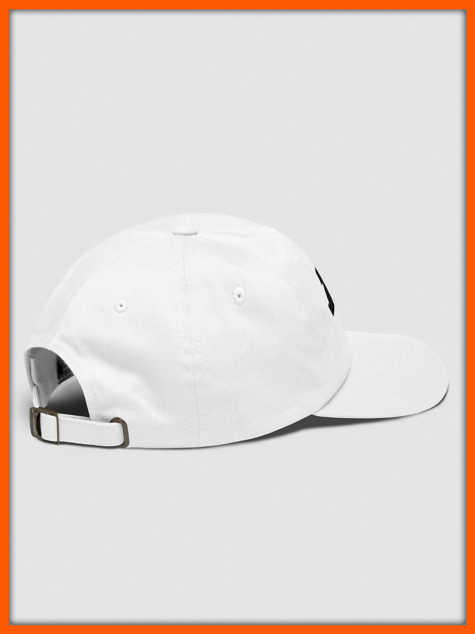 D2S "Coal" Dad Hat product image (4)