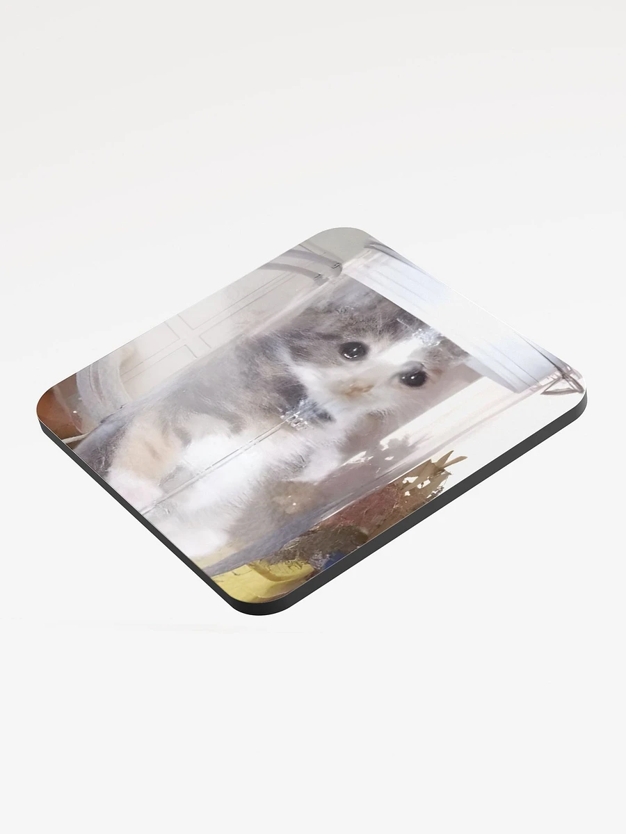 Glossed Cork Coaster: Meme Cats product image (3)