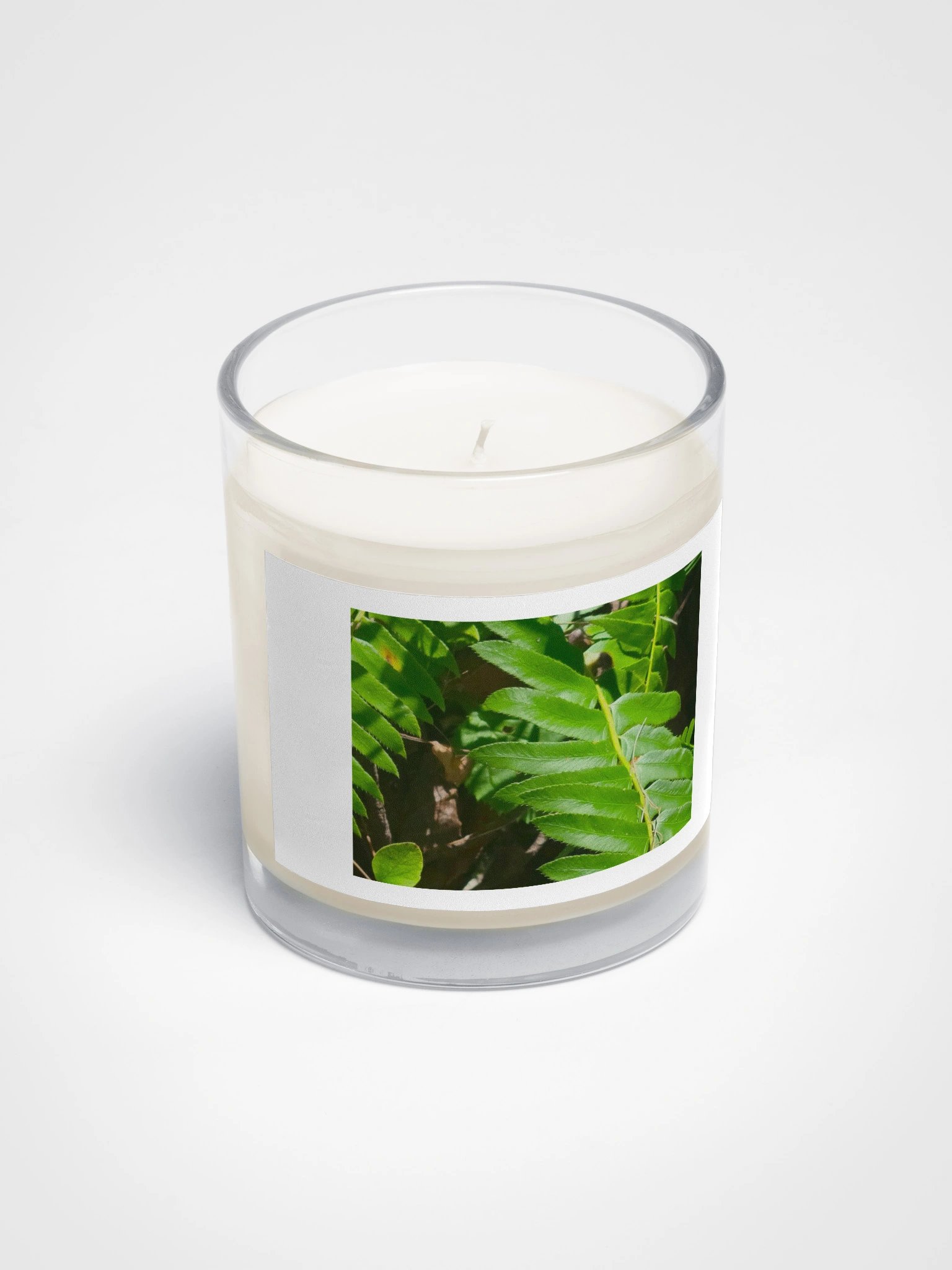 Fern Leaf Soy Candle product image (2)