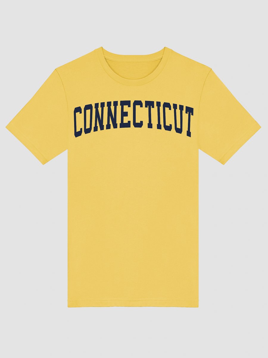 Connecticut Vintage Stylish Supersoft Unisex T-Shirt product image (5)