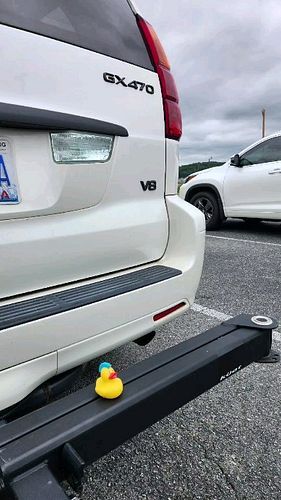 I got ducked by a confused Jeep People....please keep your Ducks to yourselves from now on!  I almost 🤢🤮 in public!
#thisoldy...