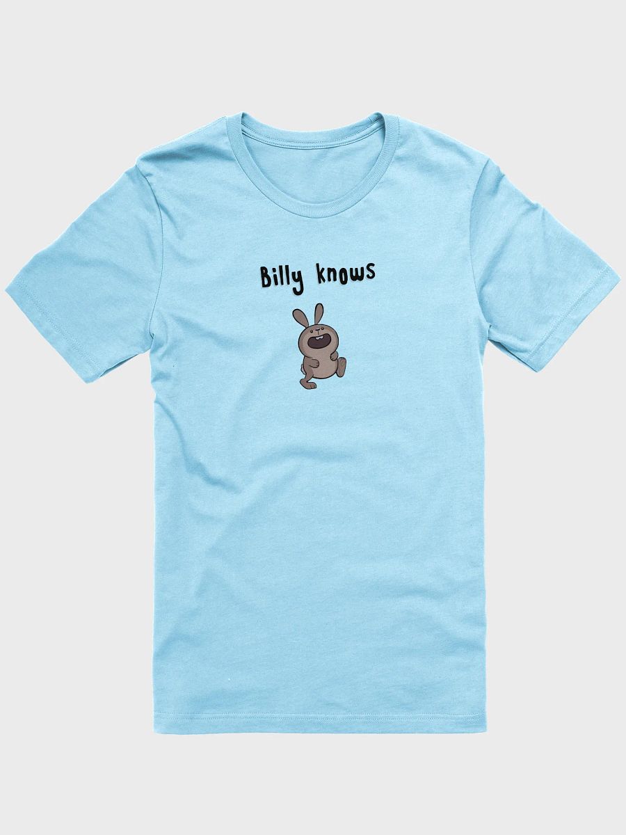 Billy Knows product image (3)