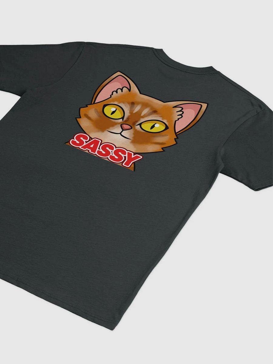 SASSY shirt, Back product image (4)