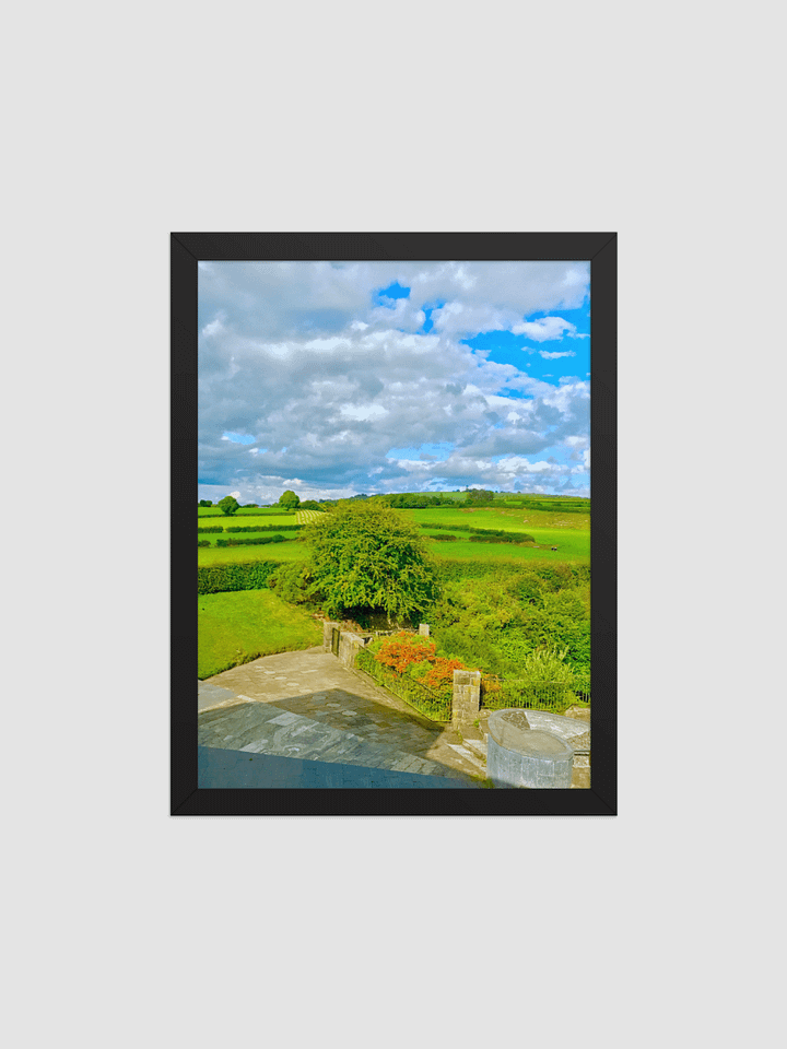 stairs to field Framed photography Poster product image (2)