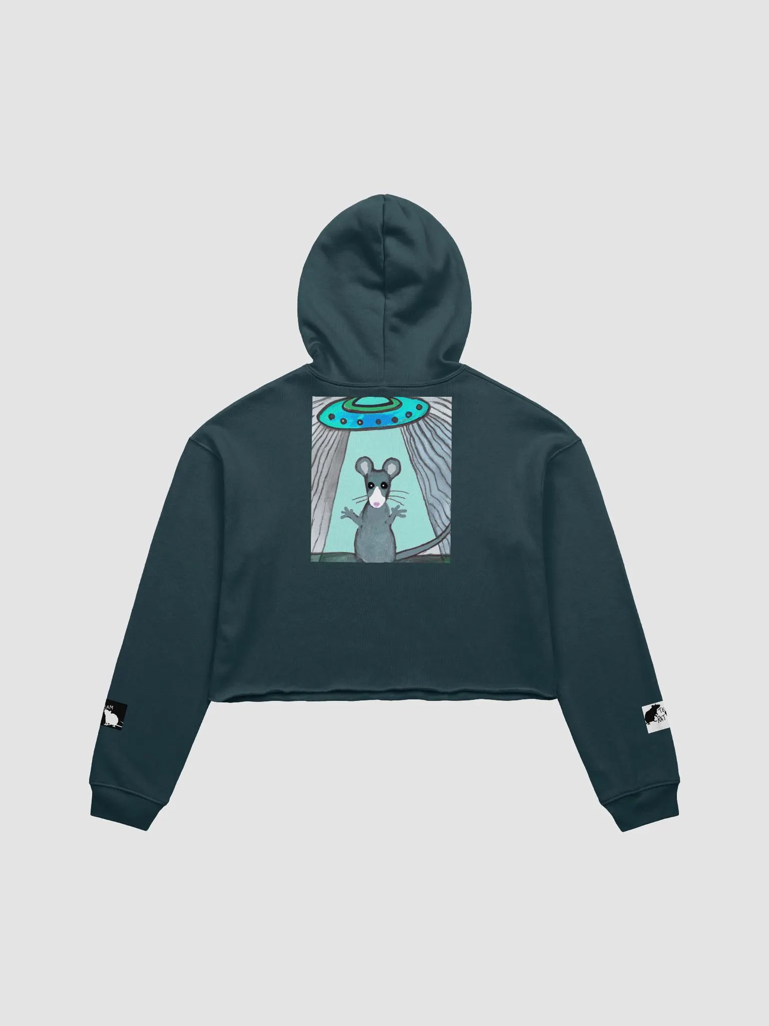 blue rat and UFO cropped hoody (branded) product image (11)